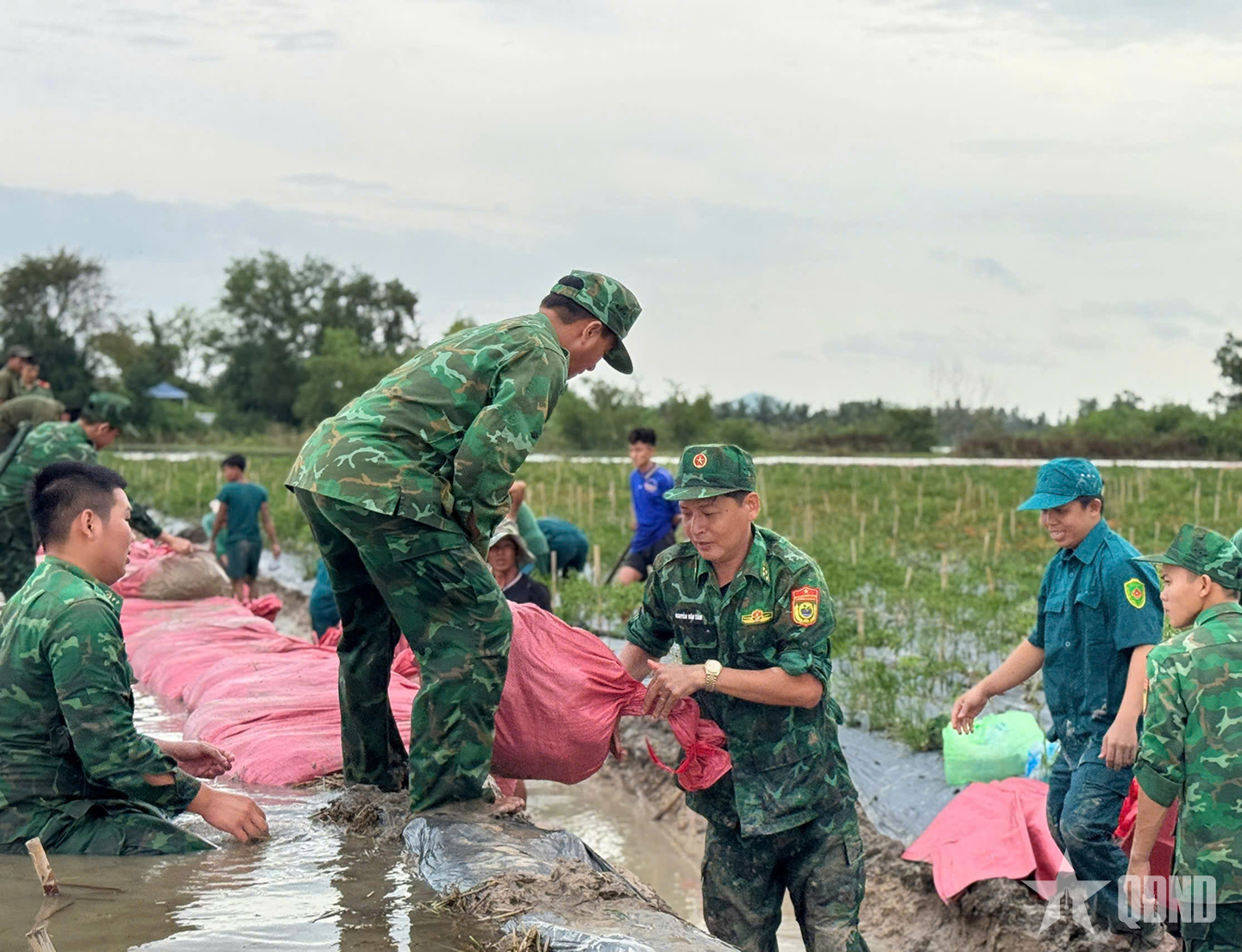 An Giang: Bộ đội Biên phòng khẩn trương giúp dân đắp đê bao chống lũ 
